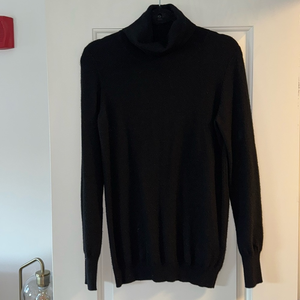 Joie Turtleneck
